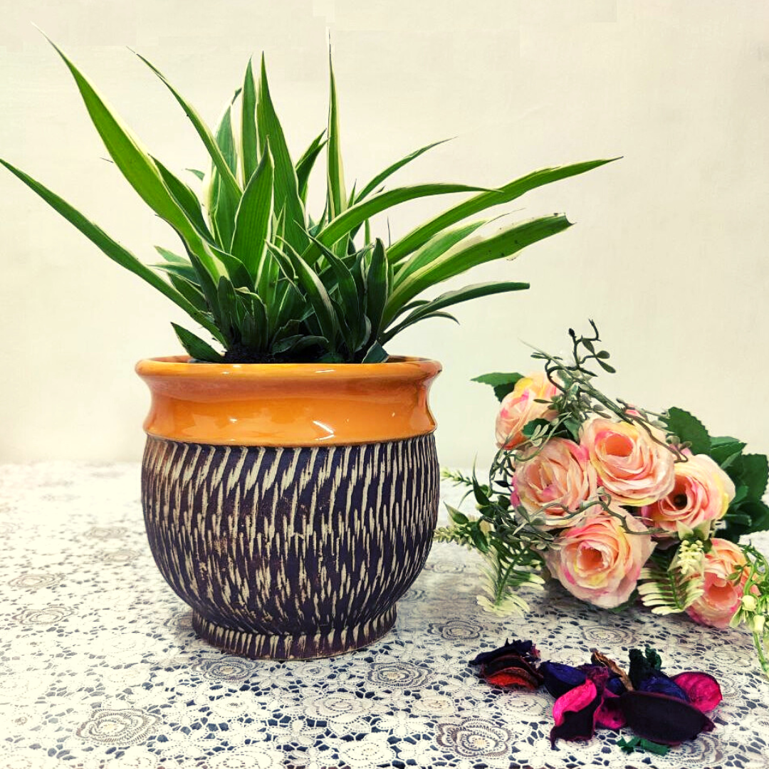 Homefrills ceramic stylish planters pot brown colour for Indoor & Outdoor Home, Garden, Office Decor, Balcony Planters Pot Gamla Pot Size: 13 cm wide & 13 cm high